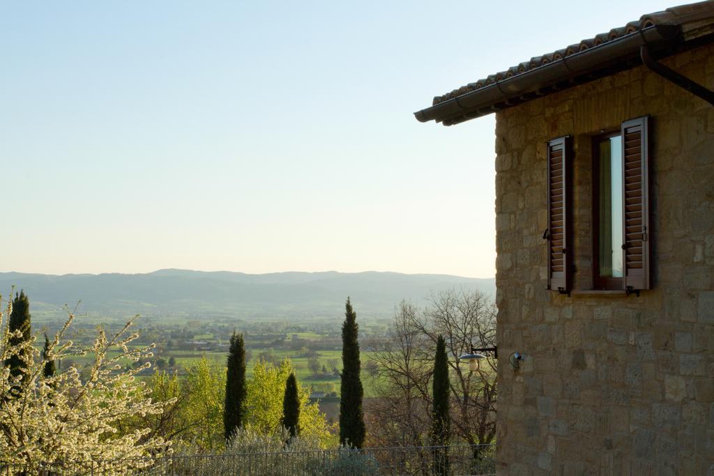 Villa Degli Ulivi Assisi Eksteriør billede