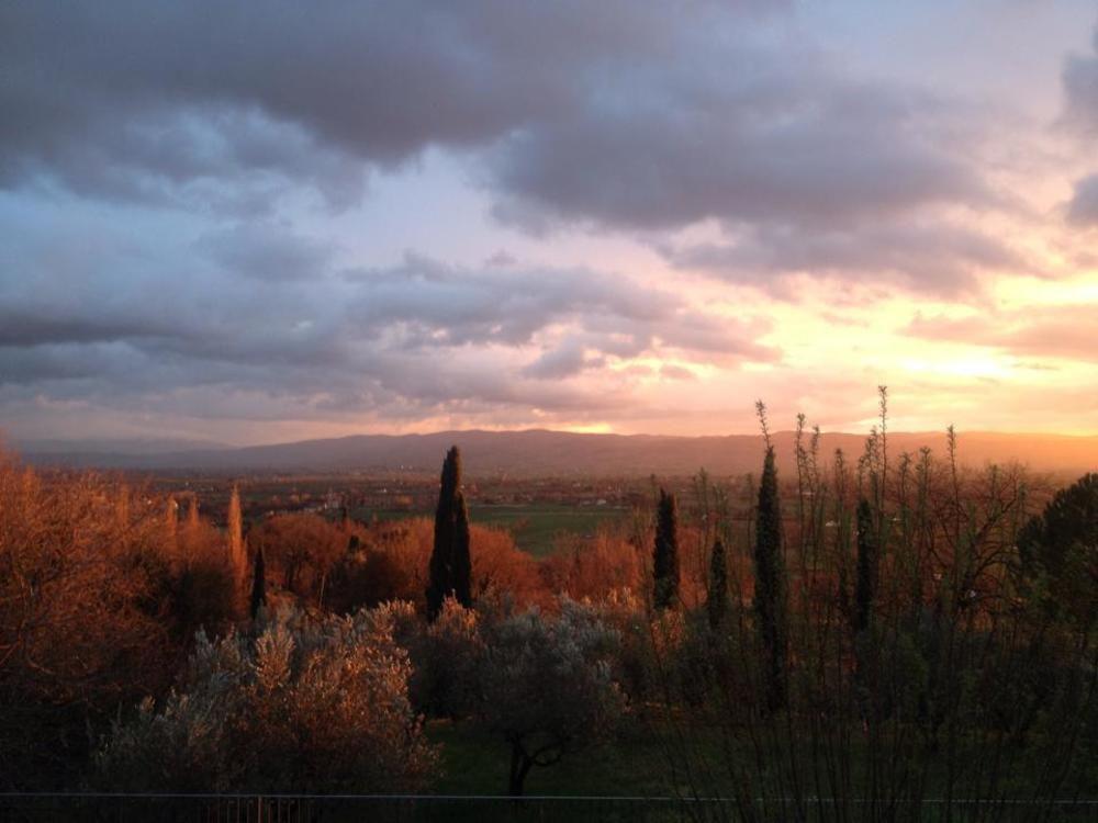 Villa Degli Ulivi Assisi Eksteriør billede