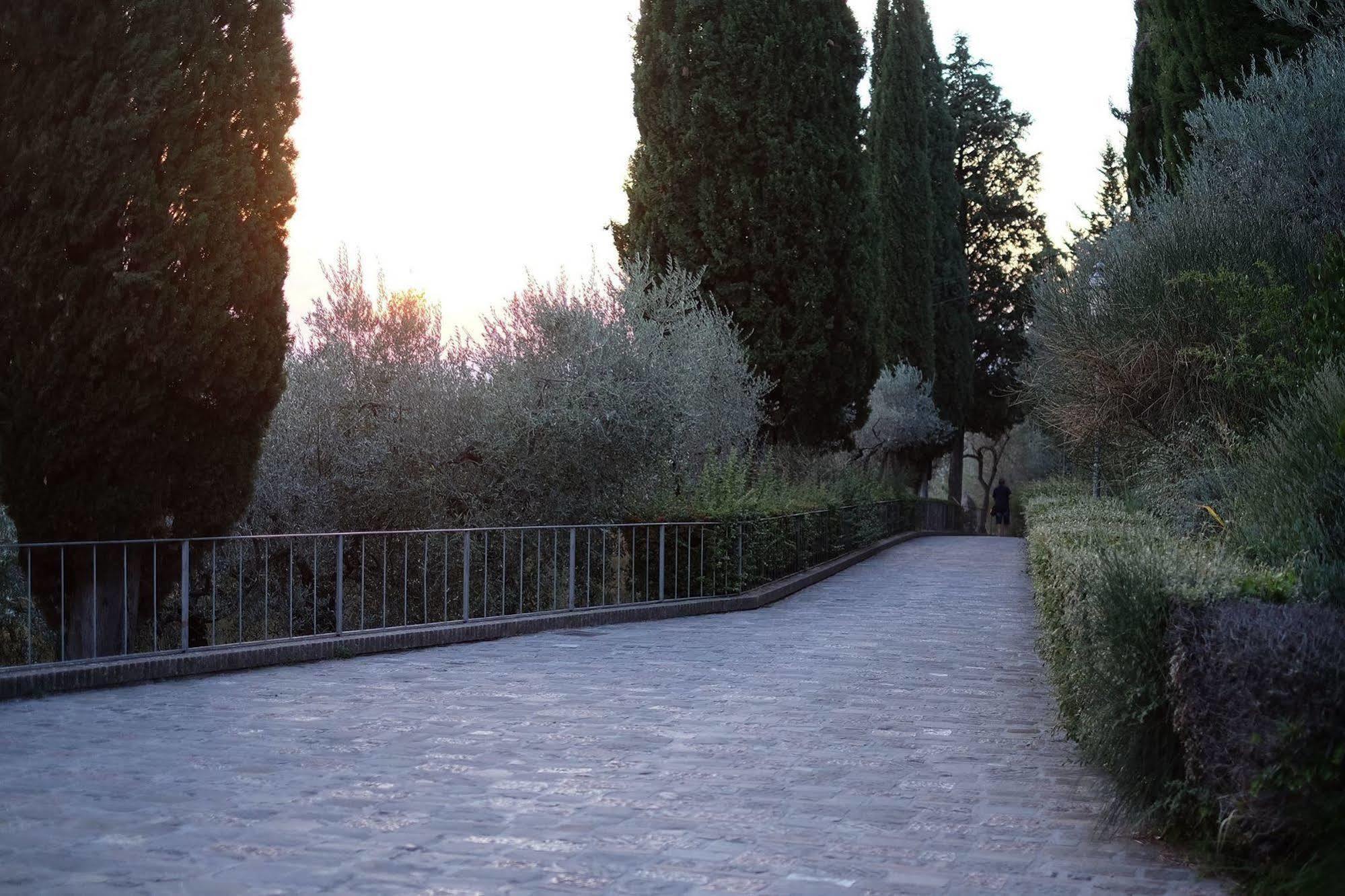 Villa Degli Ulivi Assisi Eksteriør billede